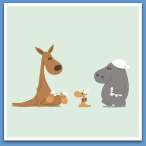 funny kangourou hippo