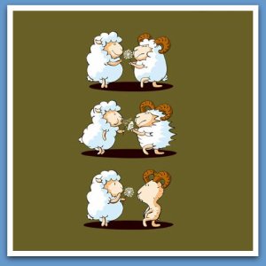 funny moutons